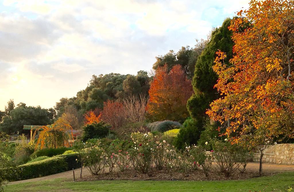 The Garden Cottage At The Olives Yankalilla Eksteriør bilde